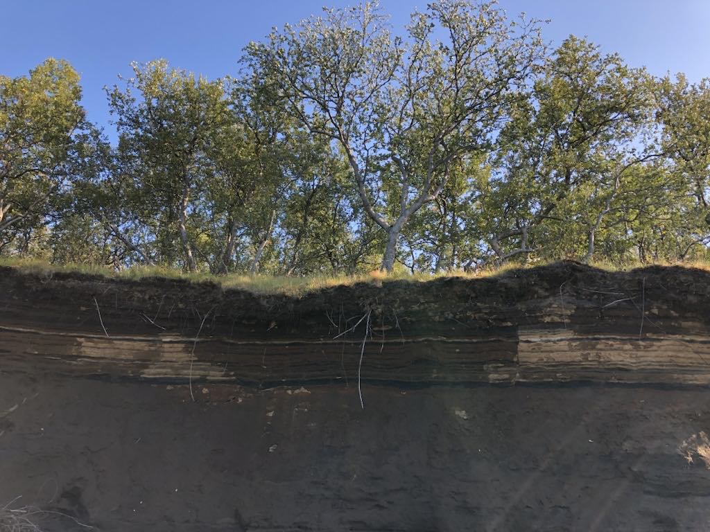 moniforsoil